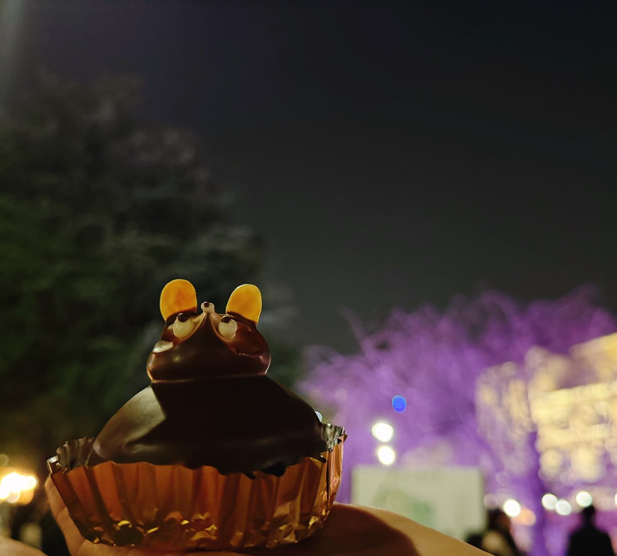 エグいライトアップされた夜桜見てきた
タヌキケーキも食べた