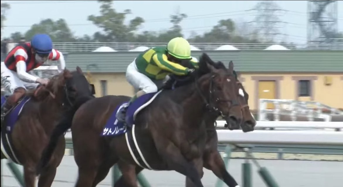 ランメル tweet media