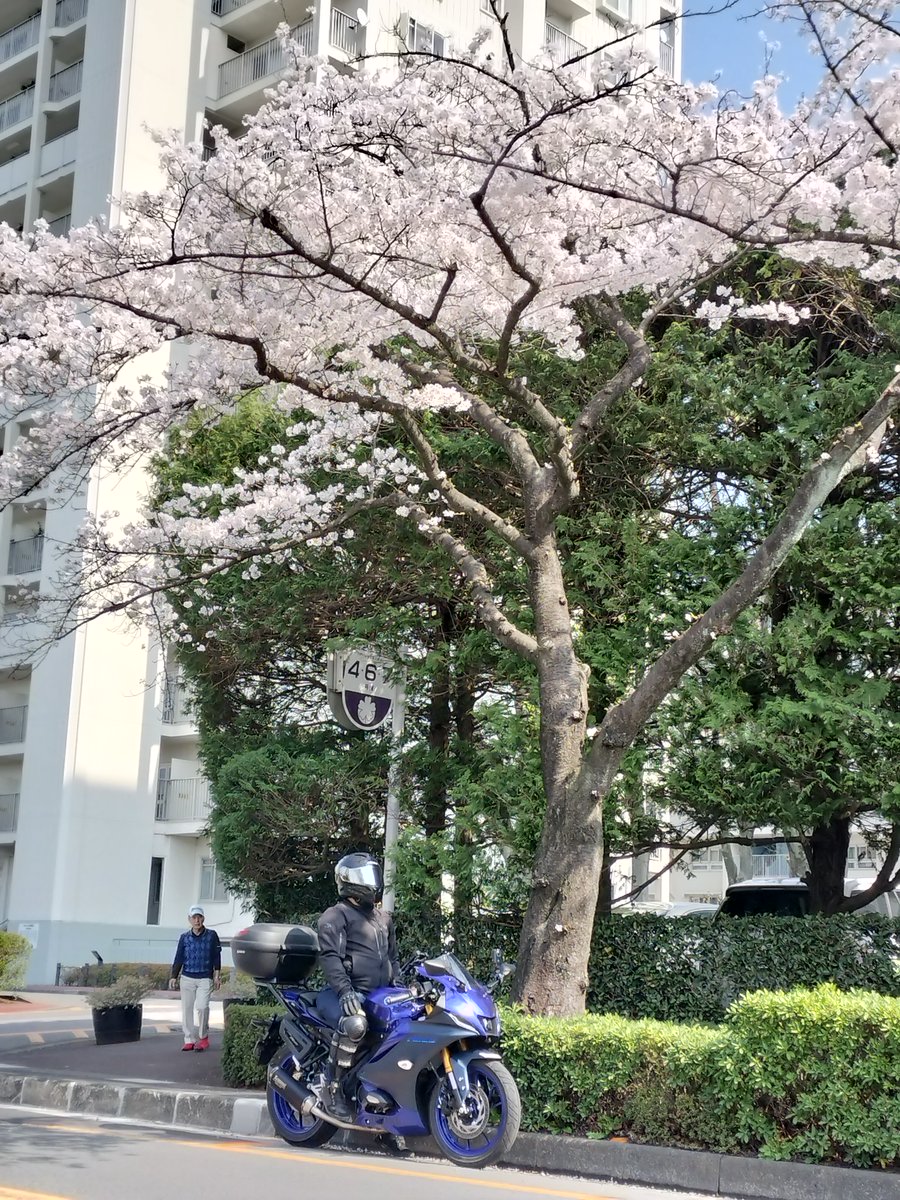 セルフさん@バイク初心者 tweet media