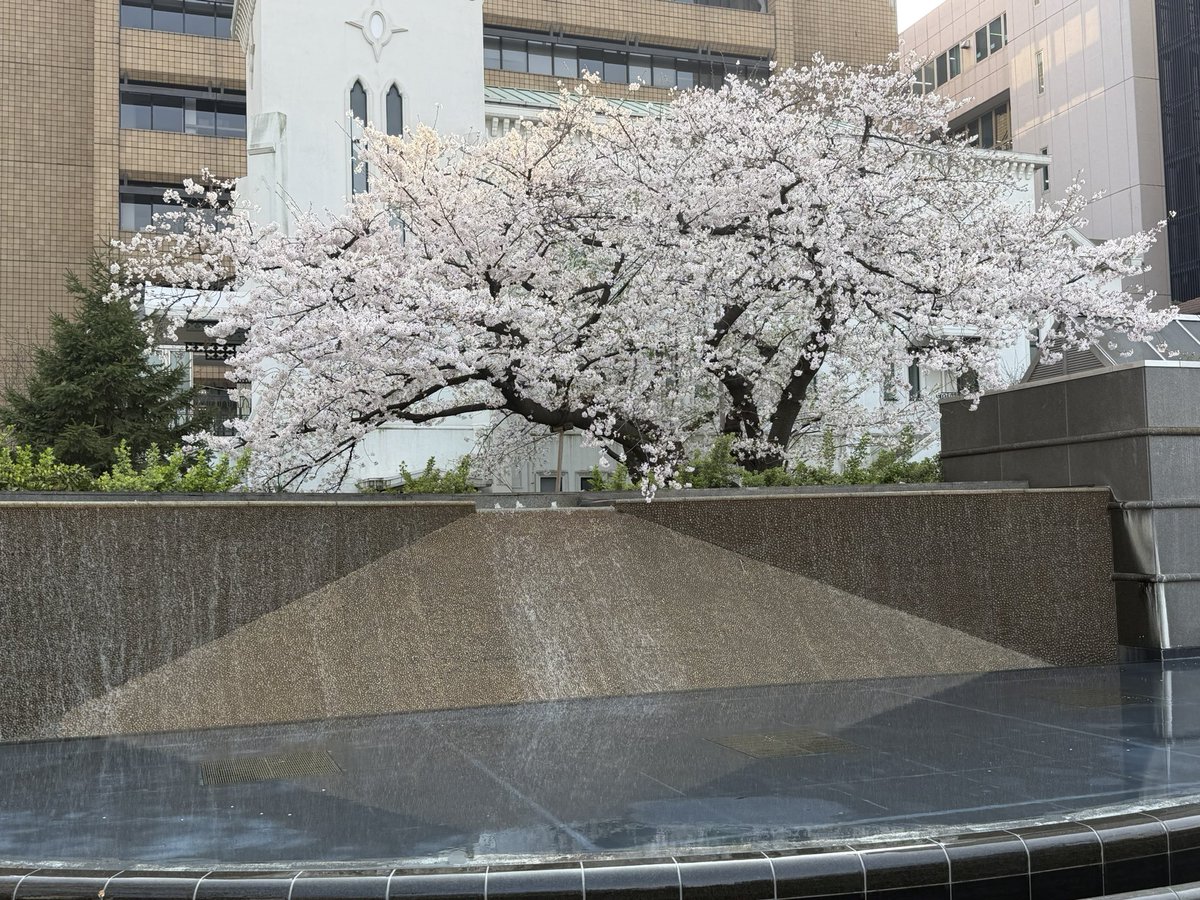 南祐司＠株式会社絆Cloud代表｜クリエイティブ・プロデューサー tweet media