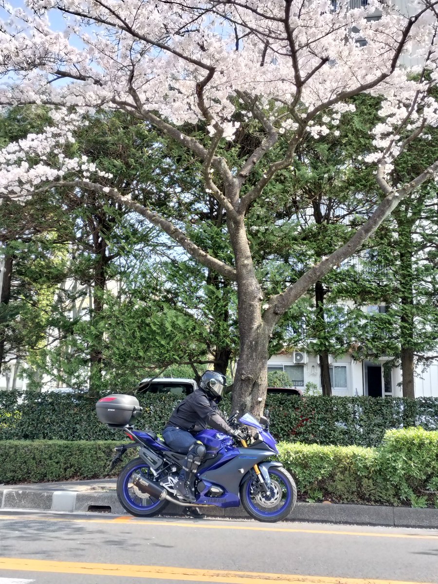 セルフさん@バイク初心者 tweet media