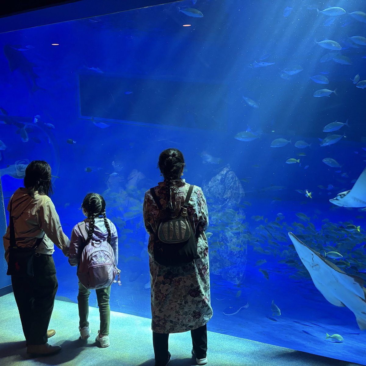 MIYATA Tatsumune / 宮田 達宗 tweet media