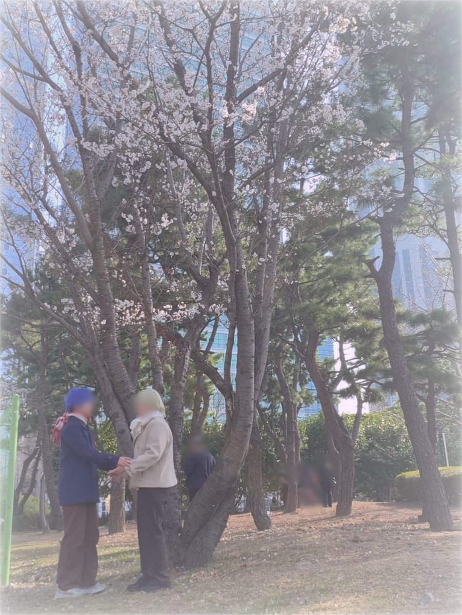 ଘアオଓ tweet media