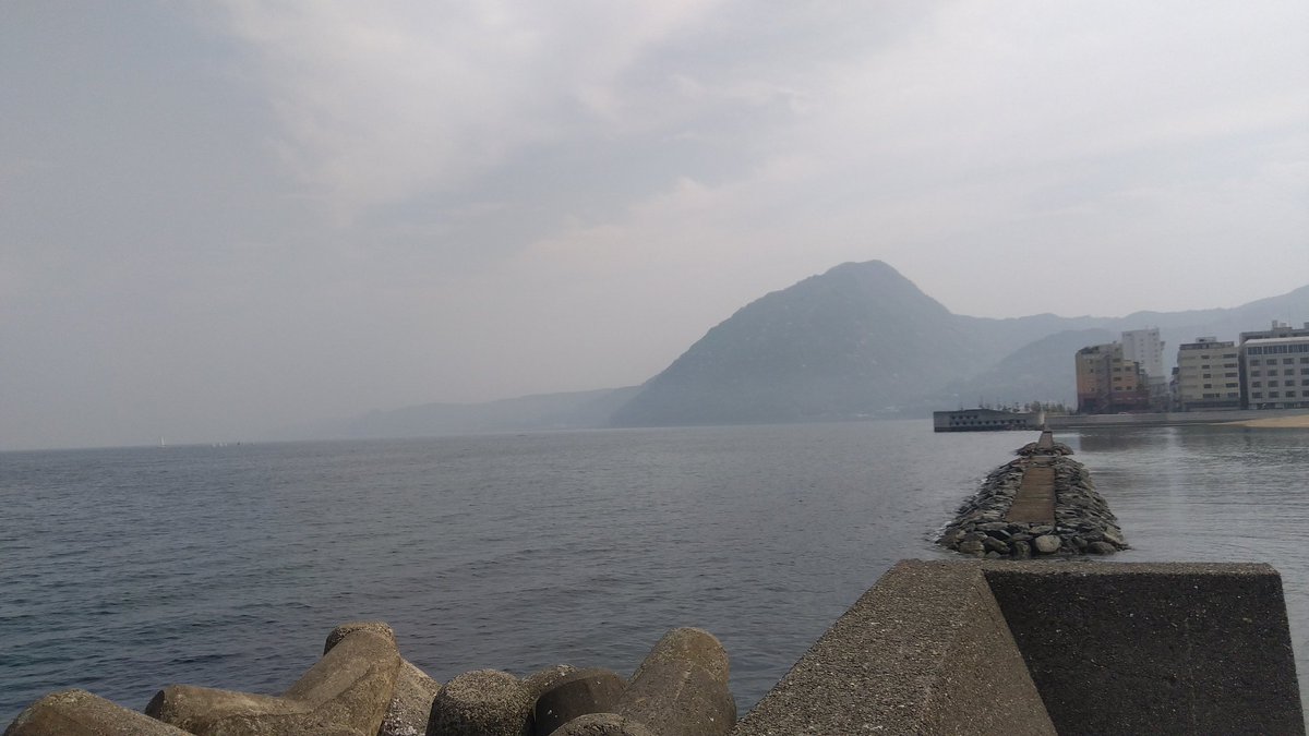 十六夜ゆーま tweet media