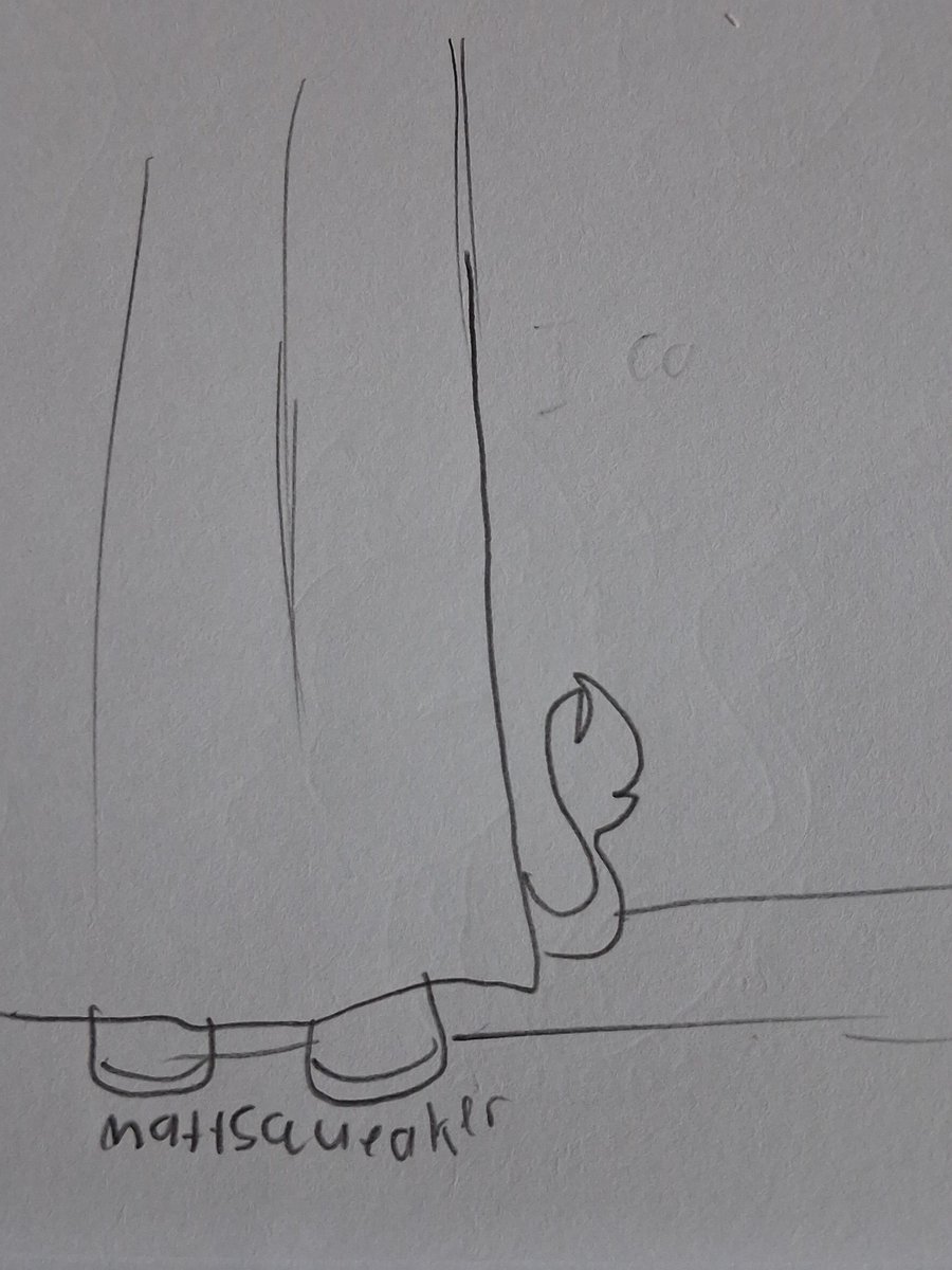 🦇Matt the squeaker🦇 tweet media