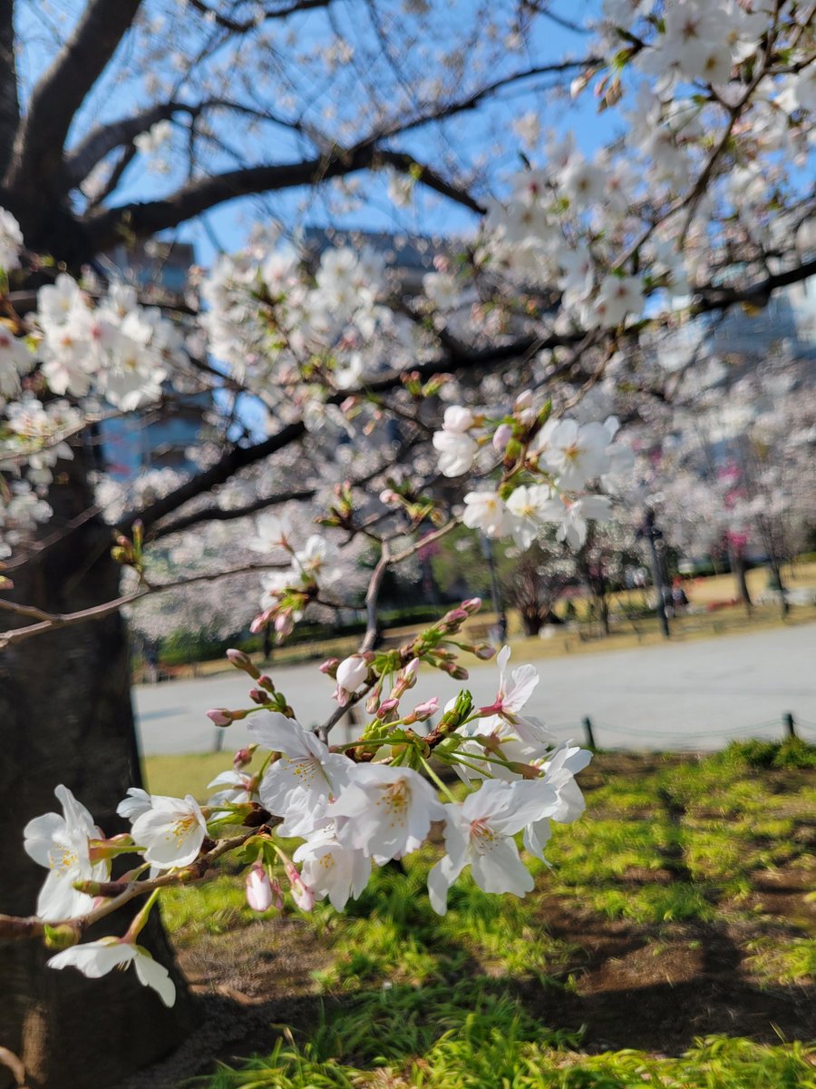 あんでぃ tweet media
