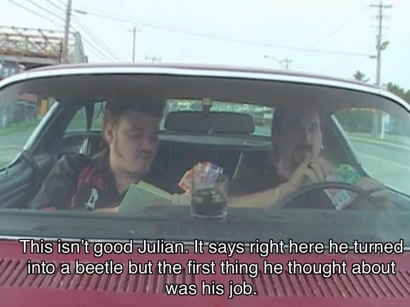 horse dentist tweet media