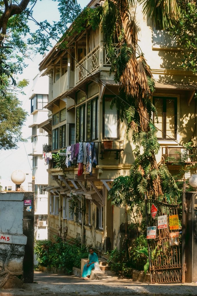 なおの歩き方🌏 tweet media