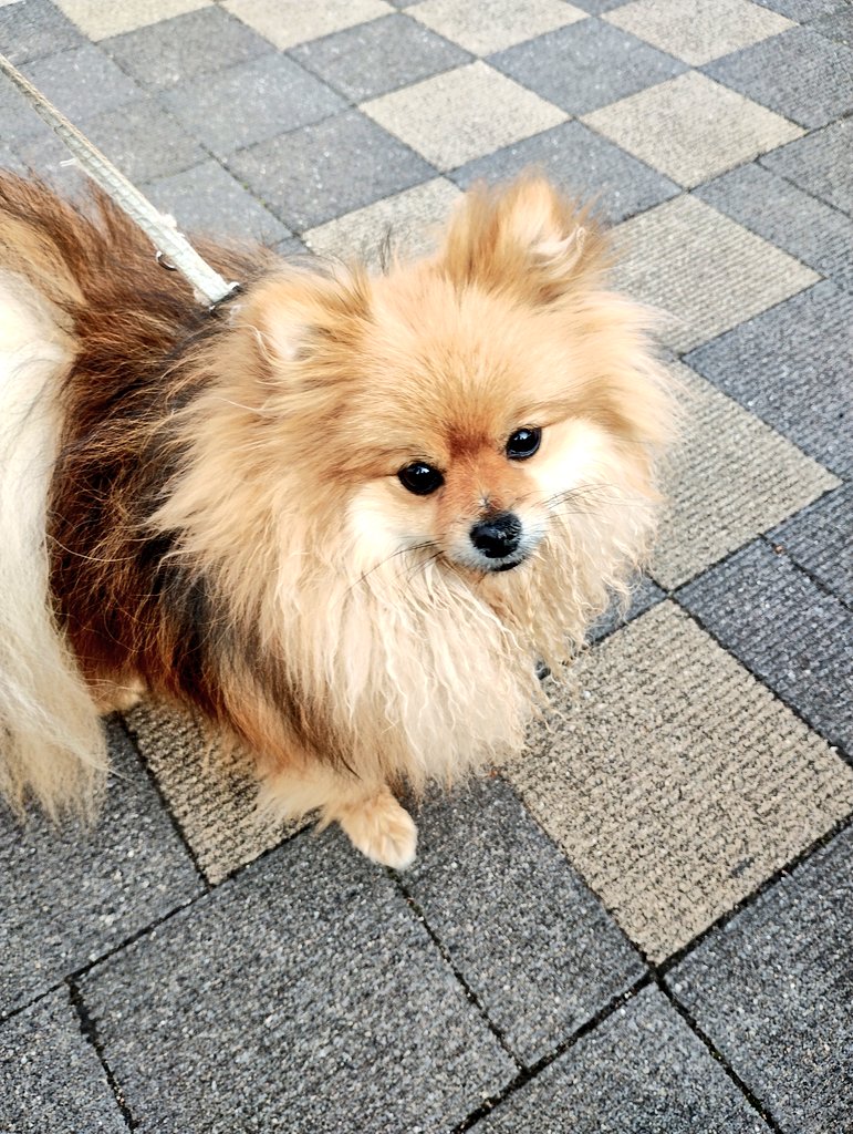 ドッグランへようこそ。