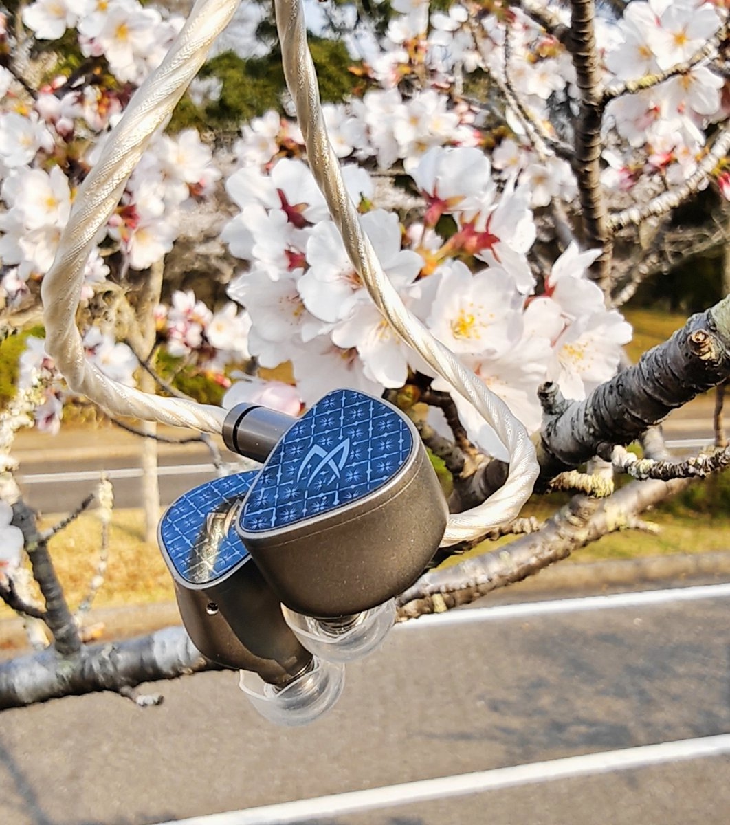 ガーくん tweet media