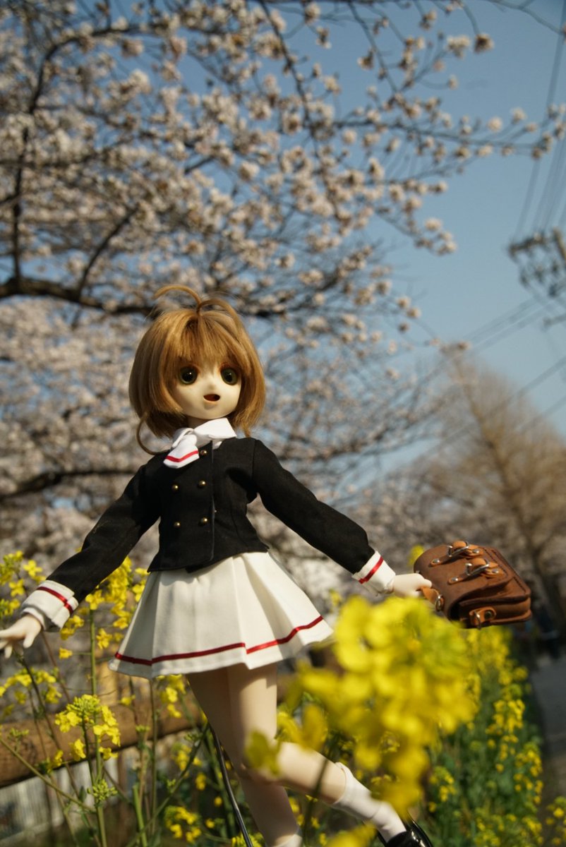 さくらちゃんー