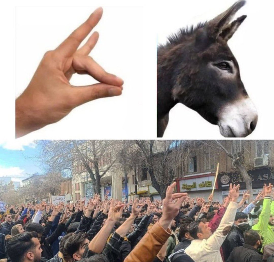 merdankocaoğlu4583 tweet media