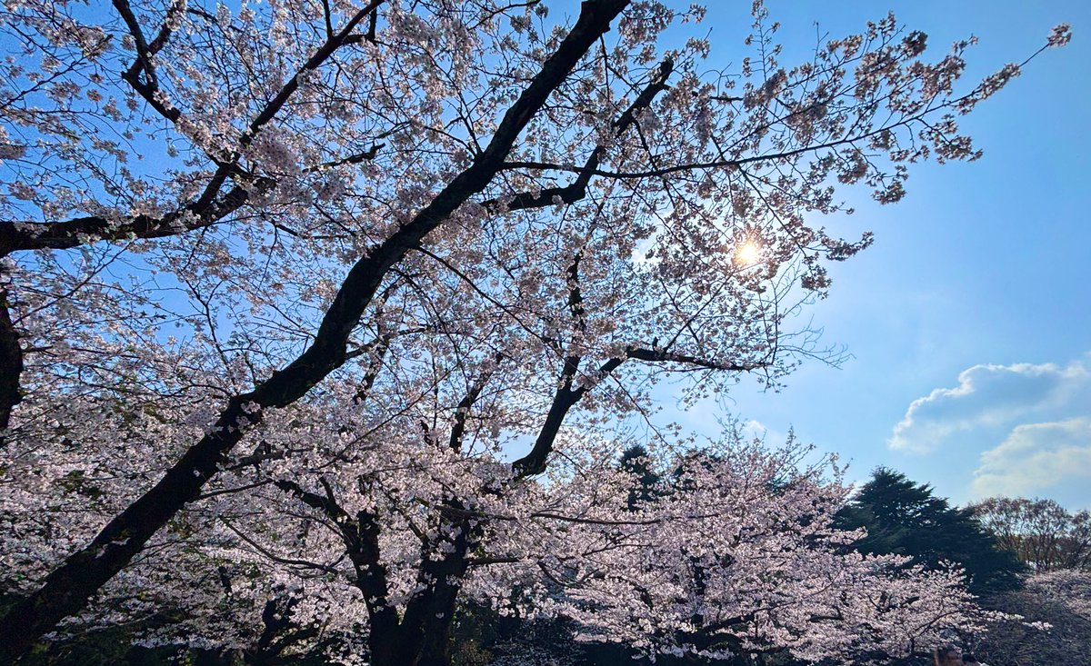 えびーぽったー tweet media