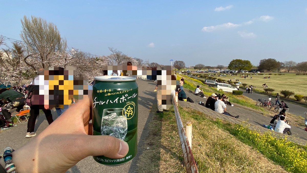 桜とヤンキーが沢山並んでて壮観
荒川をはるばる遡上してきた甲斐があった