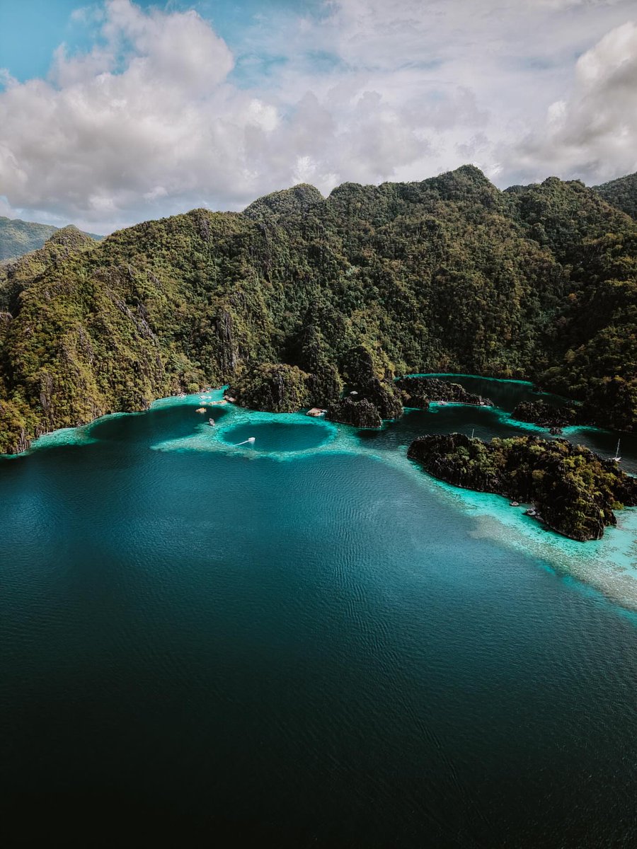 The Earth tweet media