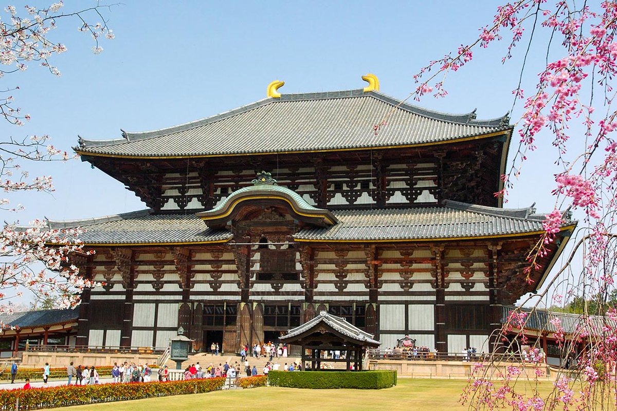 ๐๐ ๐๐๐๐๐ tweet media