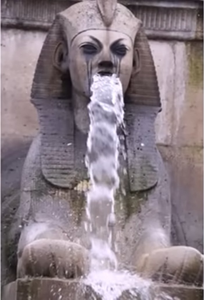 海賊王女🏴‍☠️✨ tweet media