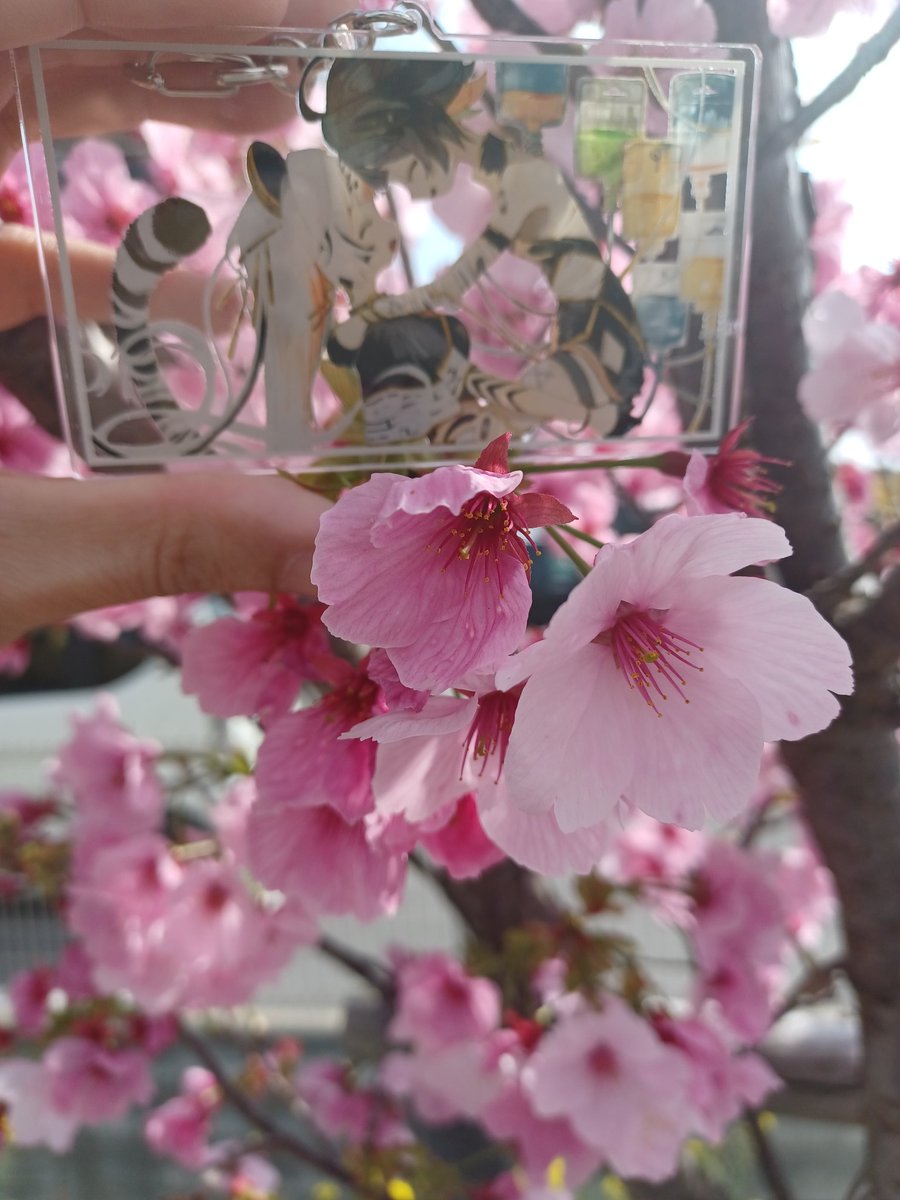 顎長禿雄(あごながはげお) tweet media