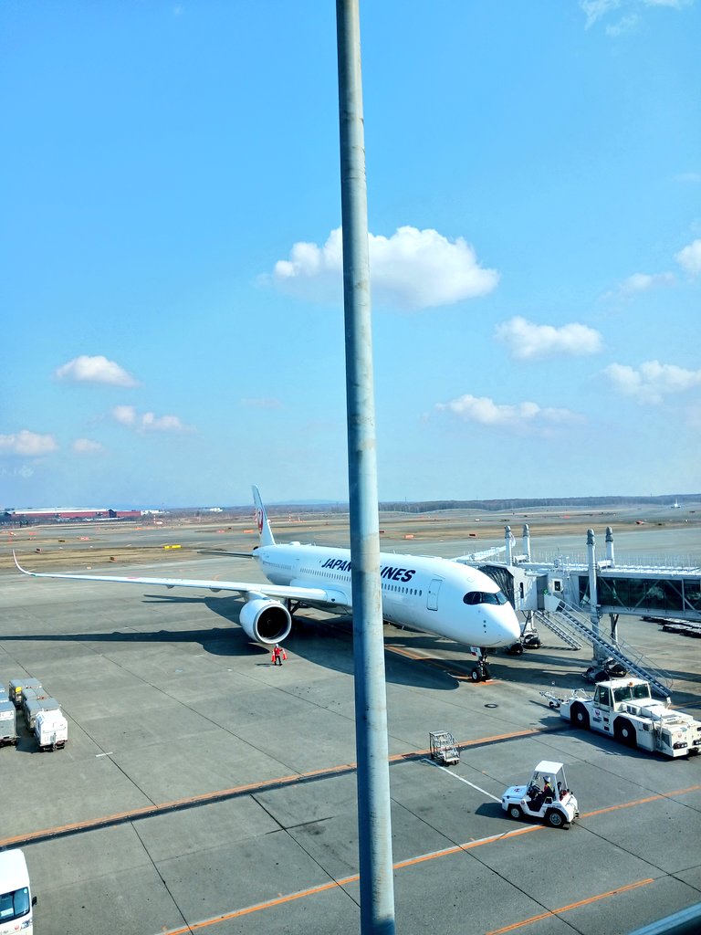 くみゃこ🥦🥑🍅 tweet media