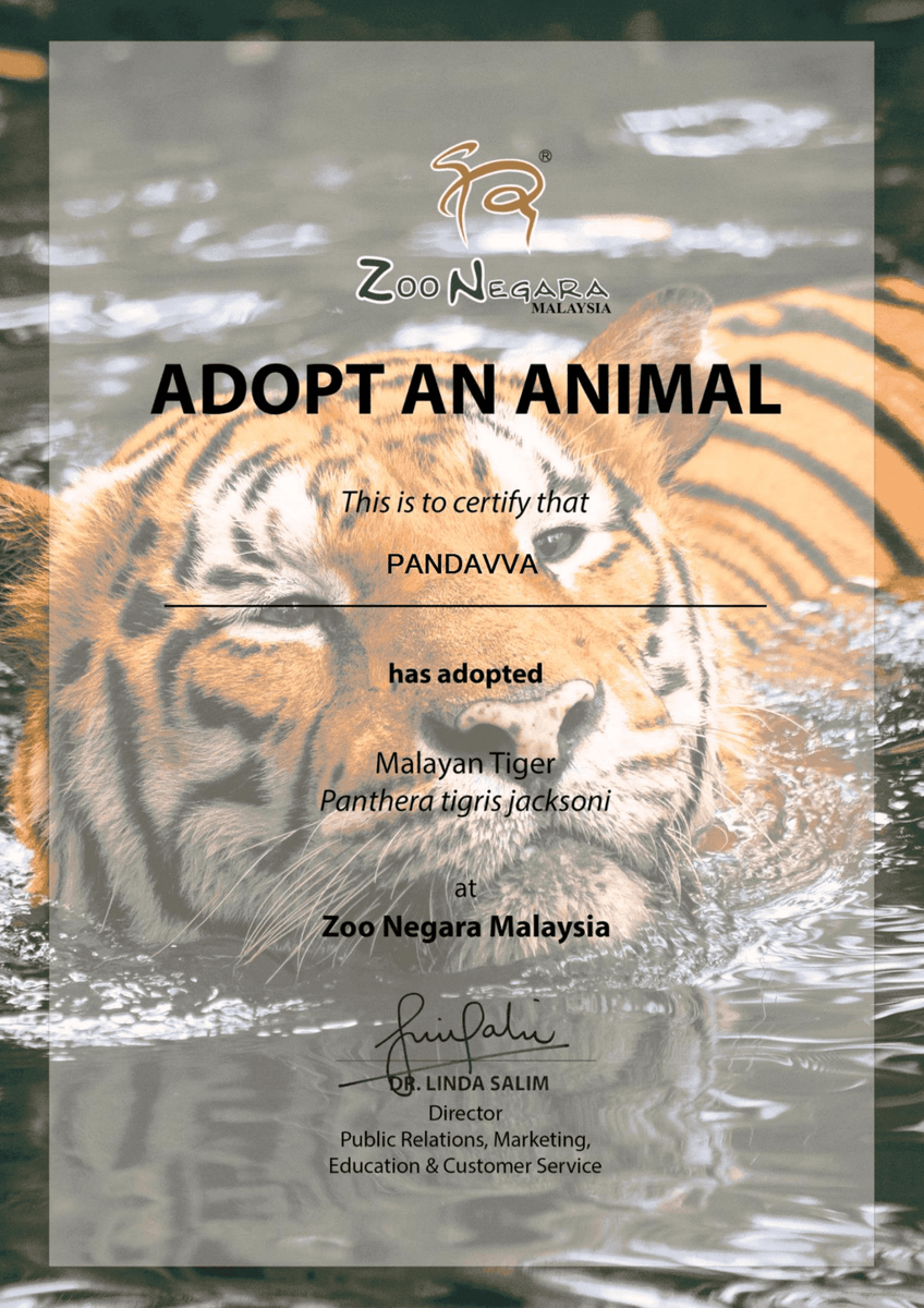 MY PANDAVVARNA tweet media