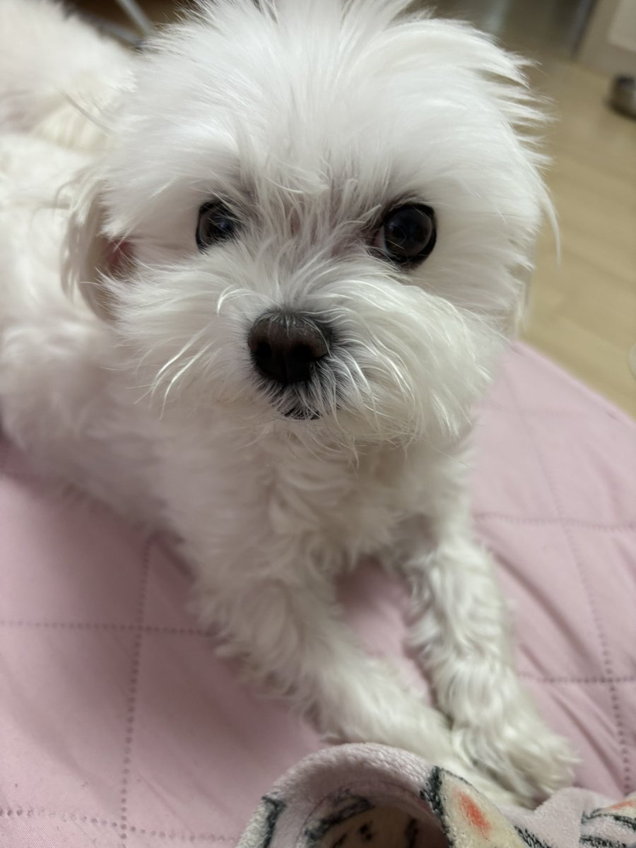 최늘최별 tweet media