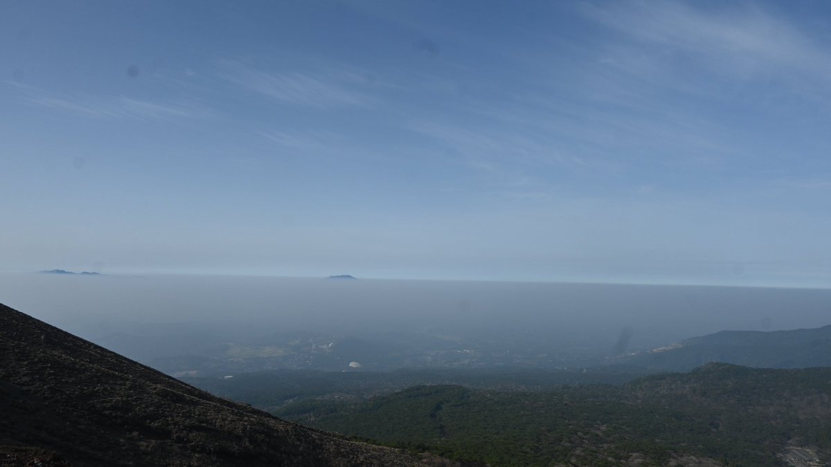 kanikuri(かにくり) tweet media