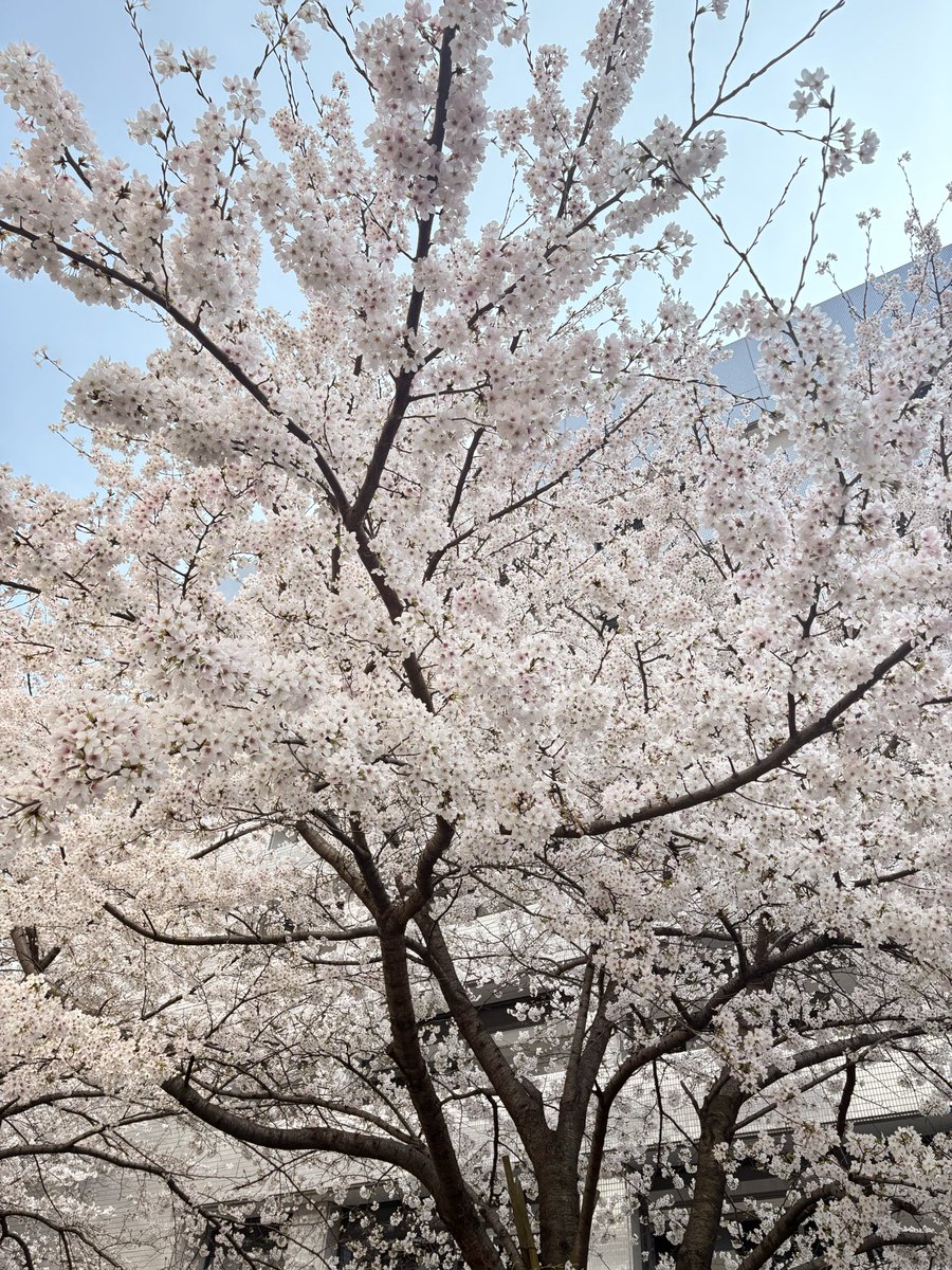 こしるみ tweet media