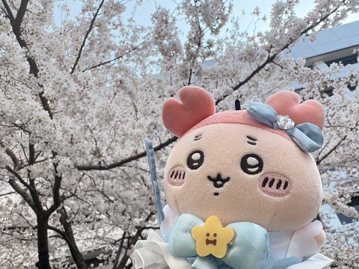 こしるみ tweet media