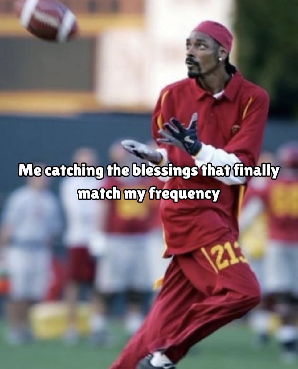 Pizzy Lee tweet media