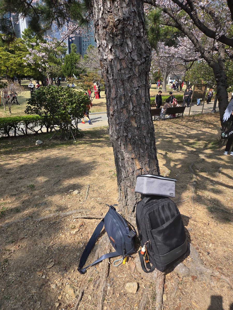 카스테라 tweet media