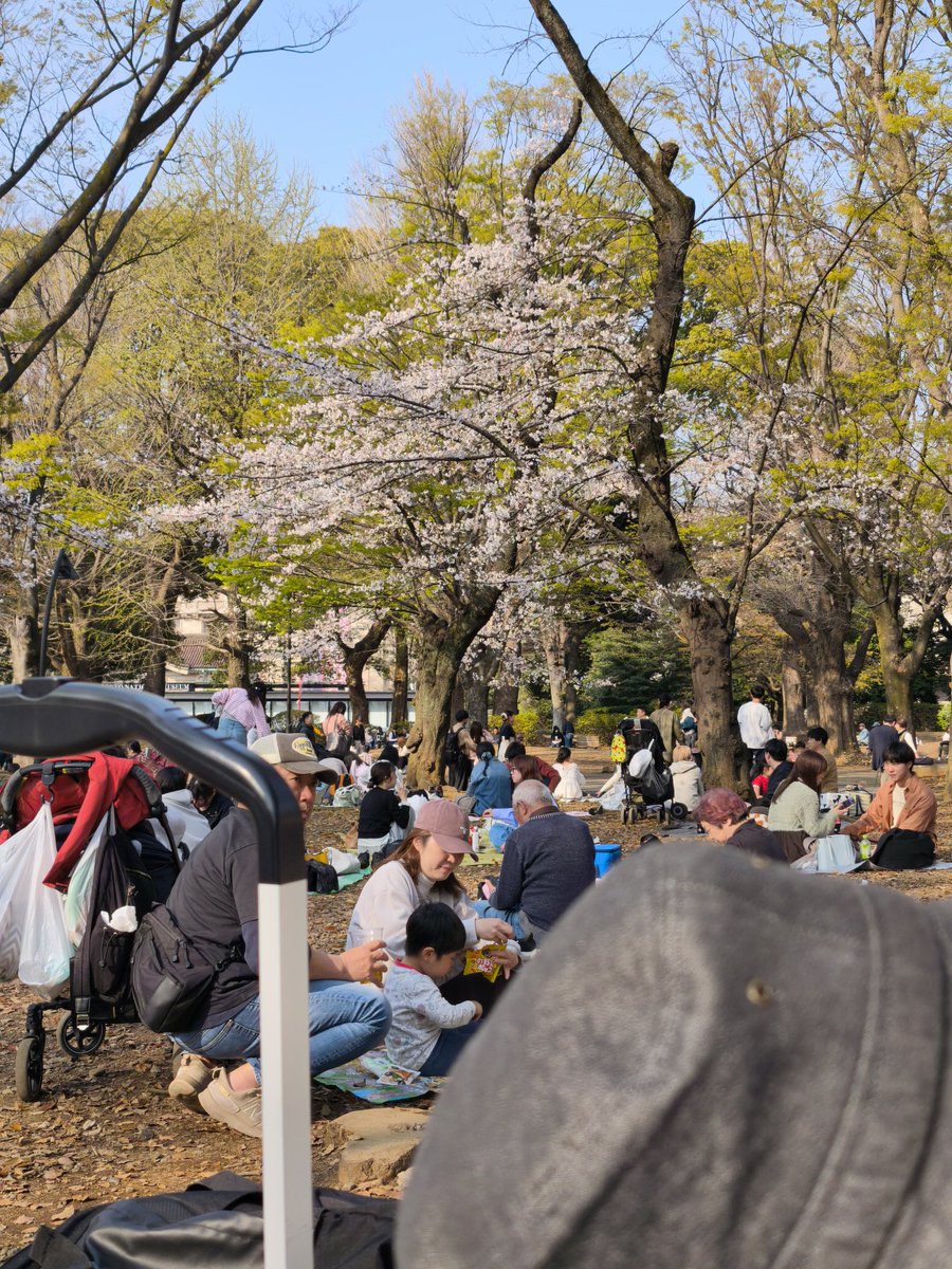 ryu.t(いおん) tweet media