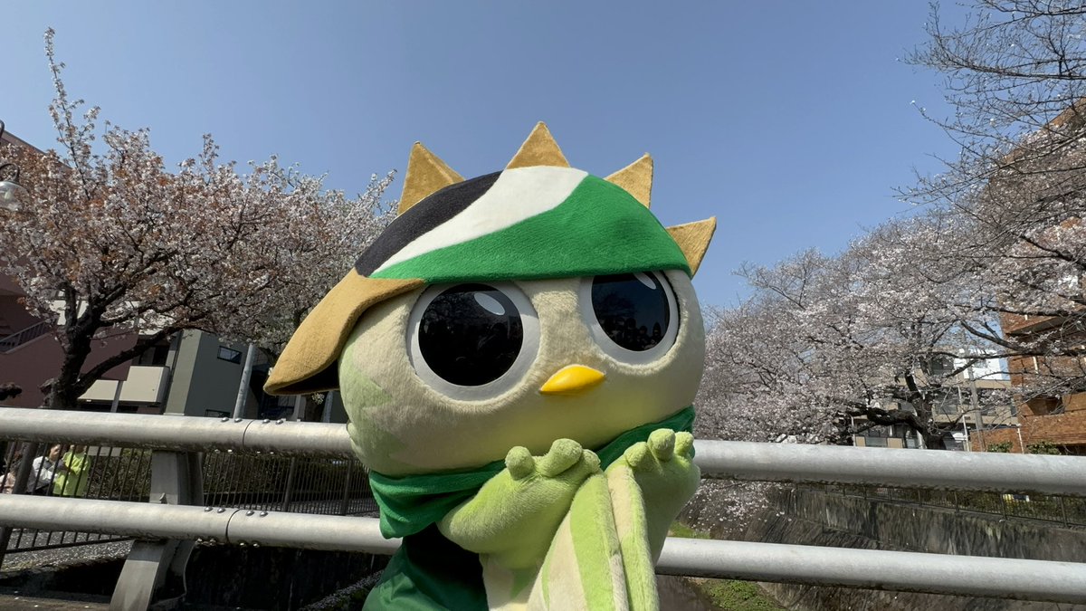 れいあ🐬 tweet media