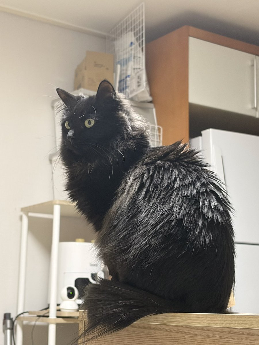 제로 콜라🥤 tweet media