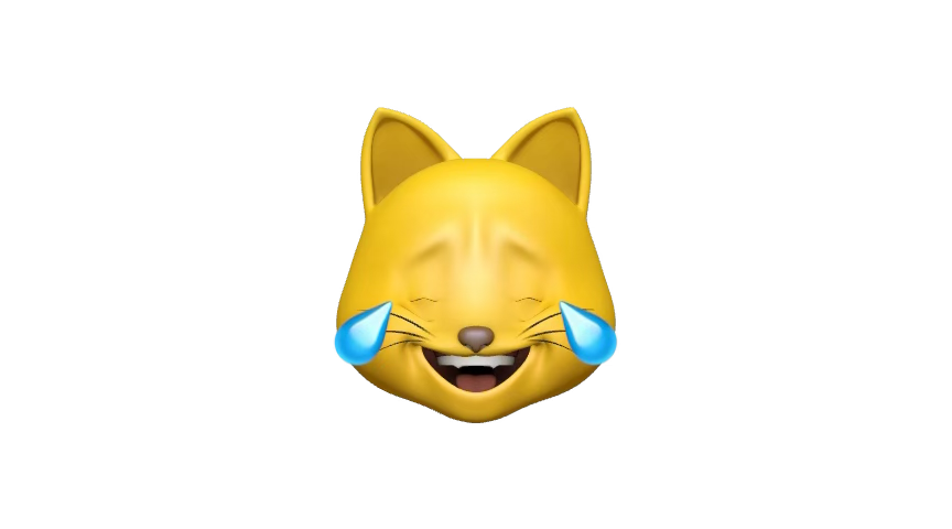 RektTrader tweet media