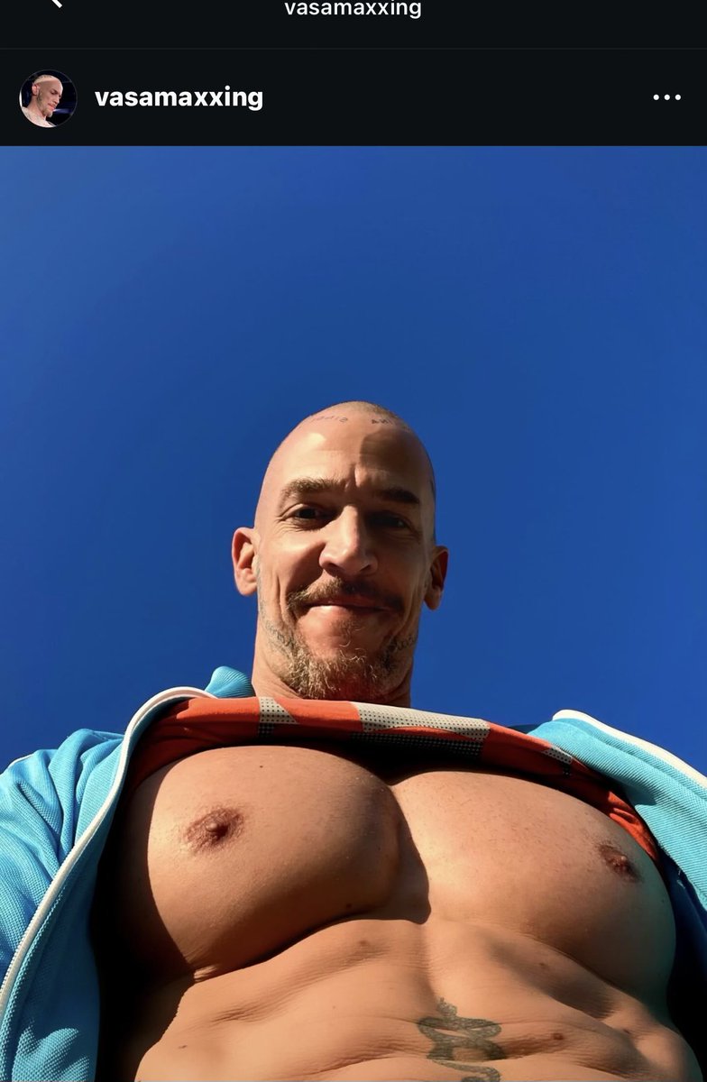 VASA NESTOROVIC tweet media