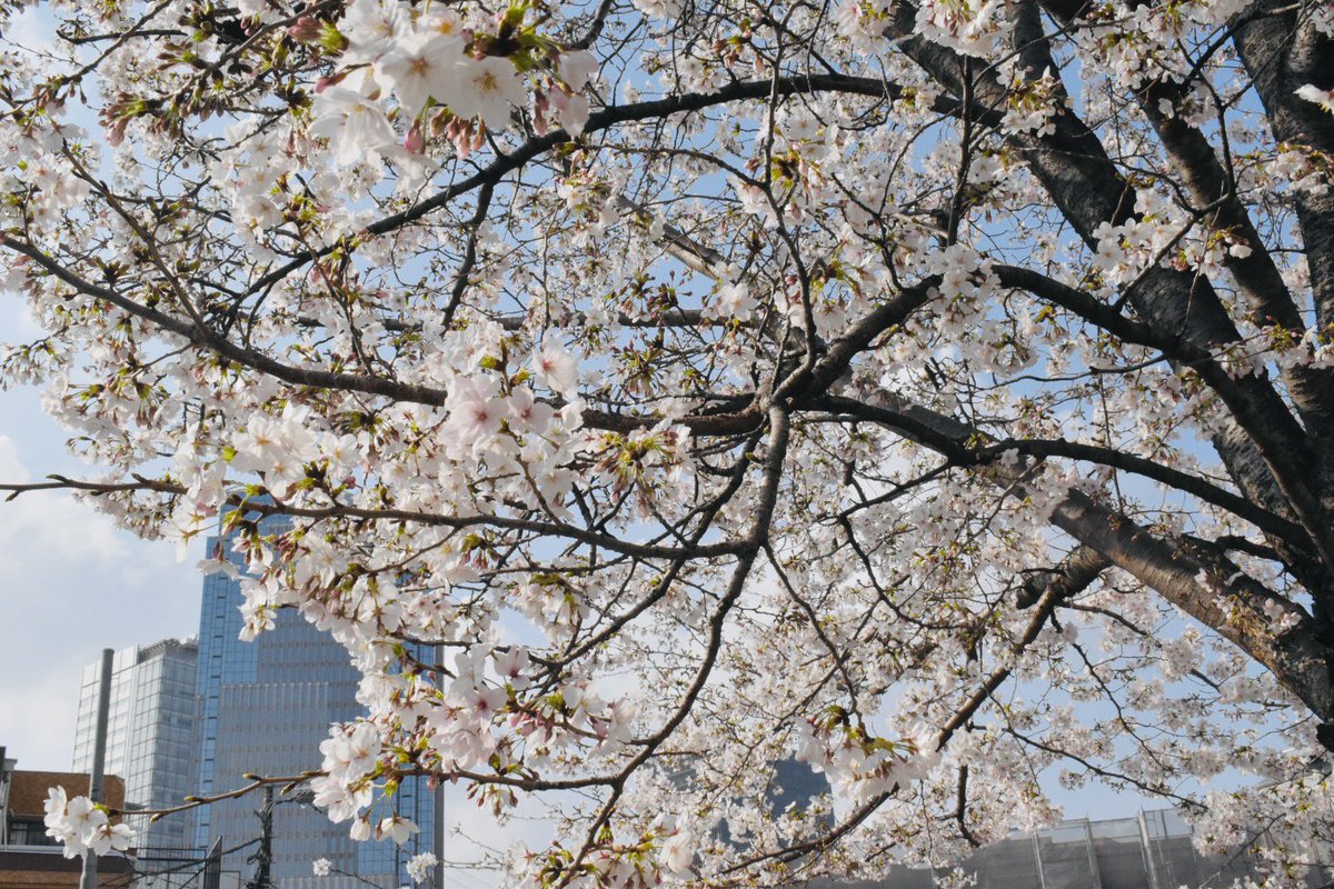 衛藤直毅_Eto Naoki tweet media