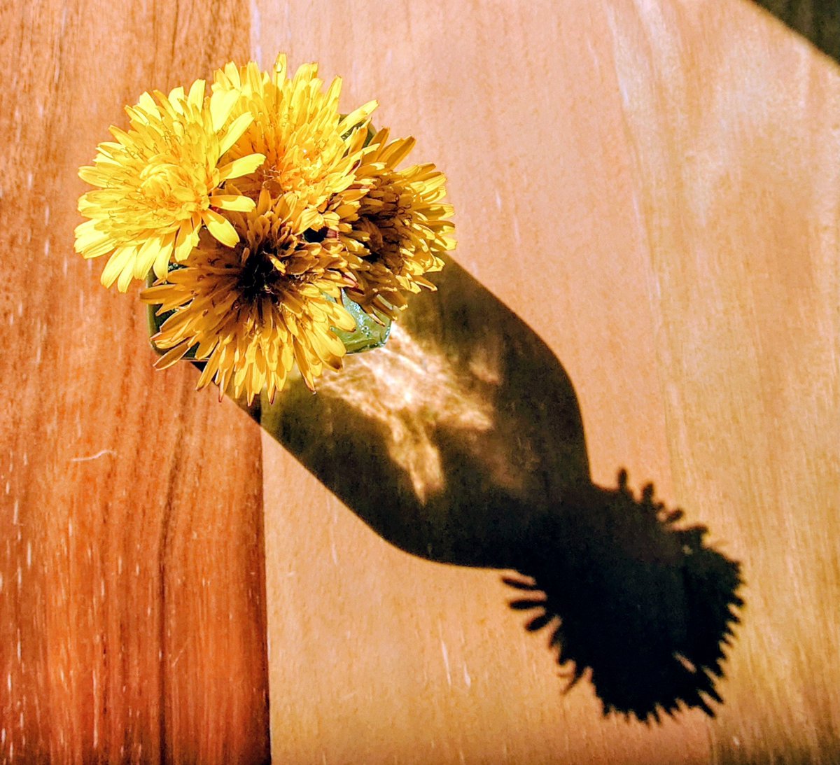 ヤスジロウ tweet media