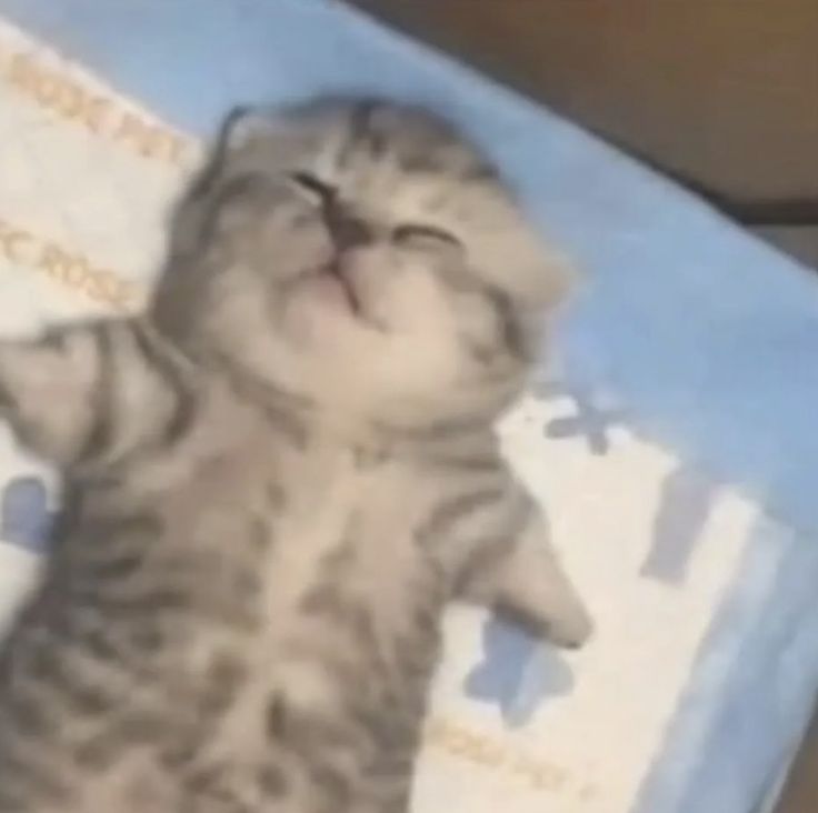 Ezreal, D. tweet media