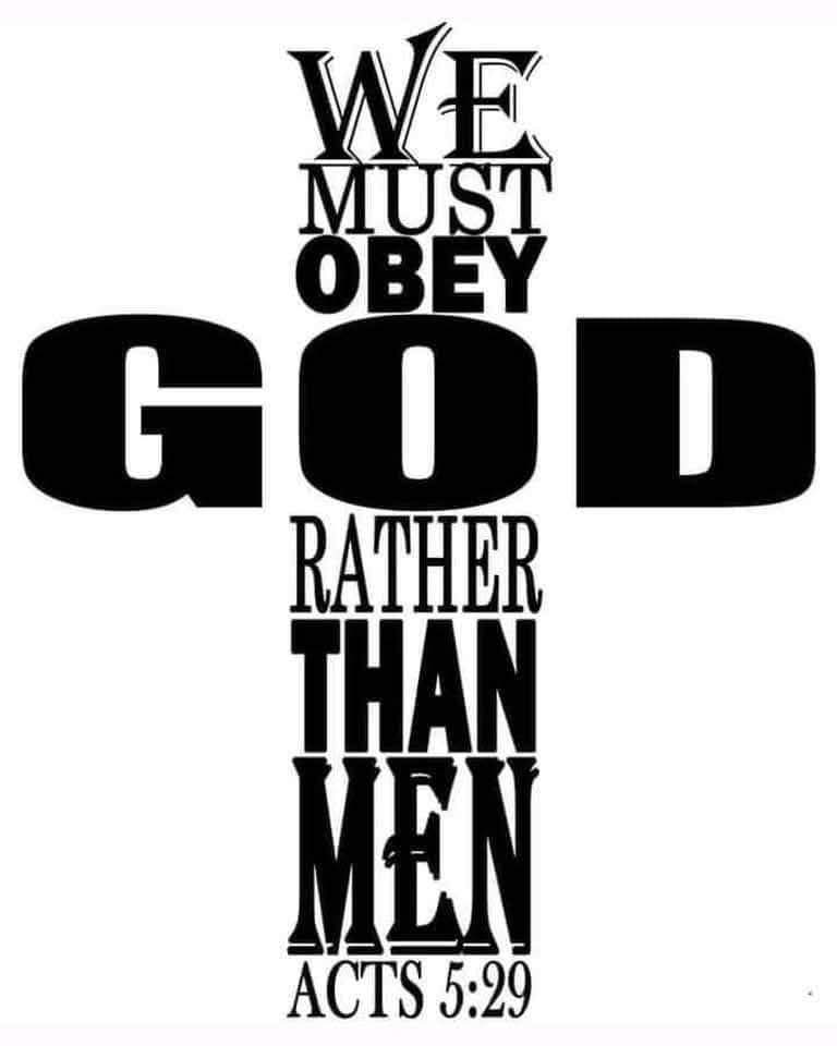 Benjamin Avenue tweet media