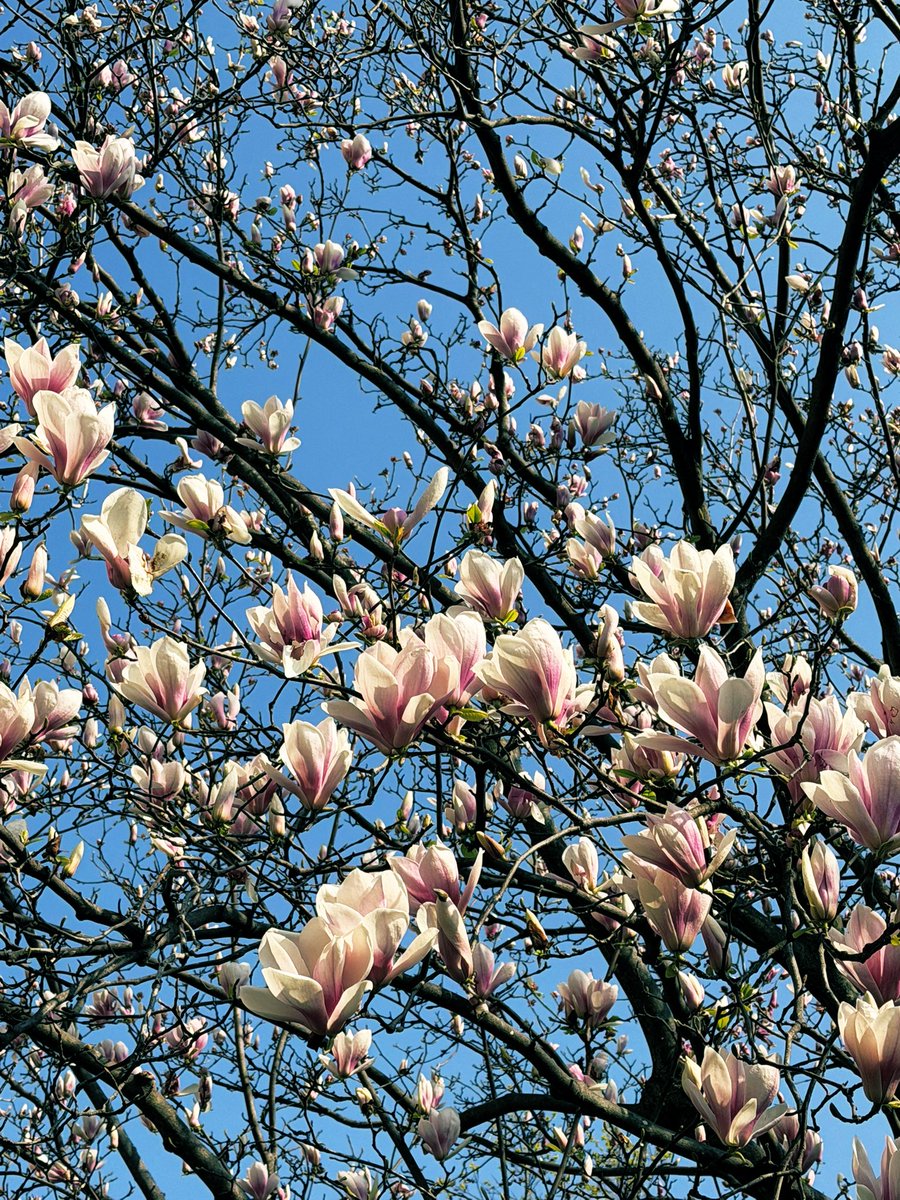 きょーみん🎙小川京美🖋 tweet media