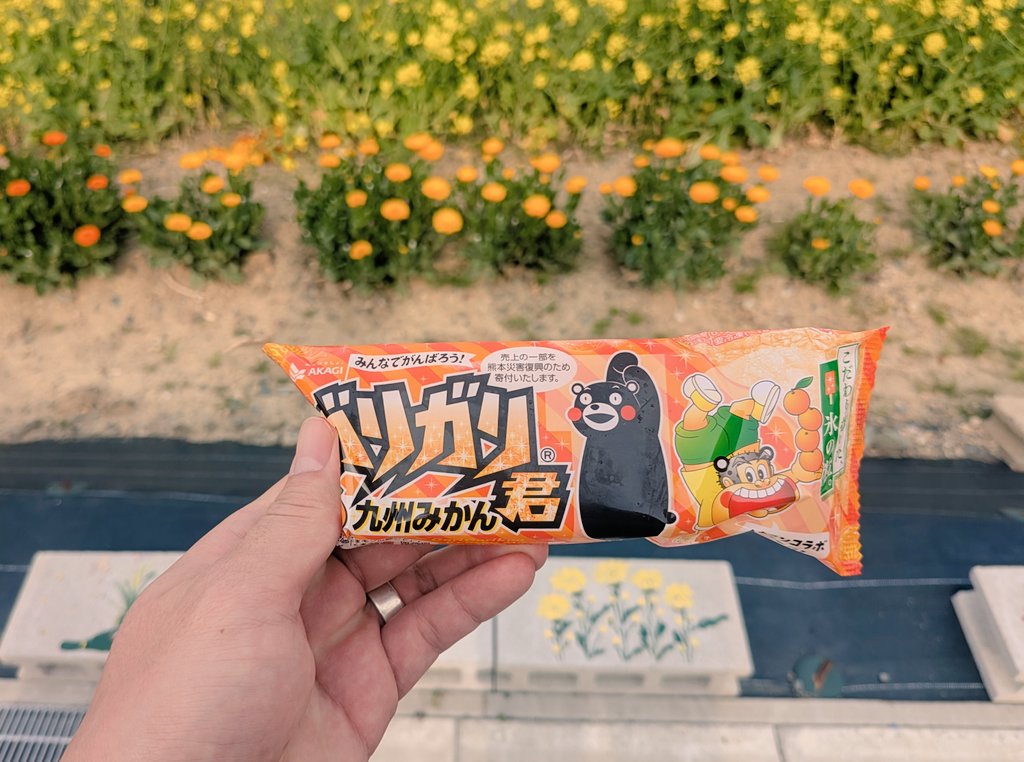 バント@みじんこすたいる🦠 tweet media