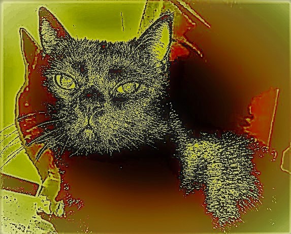 milevbtc's tweet image. My beloved Princess Nuri !

#digitalartwork #pets #cats #animals #zora

zora.co/@milevbtc