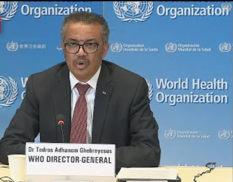 Milano Returns tweet media