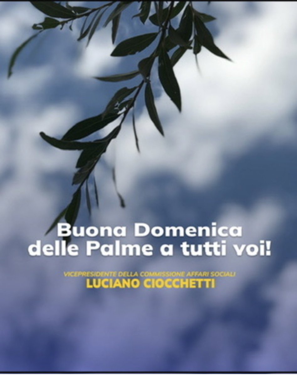 Luciano Ciocchetti tweet media