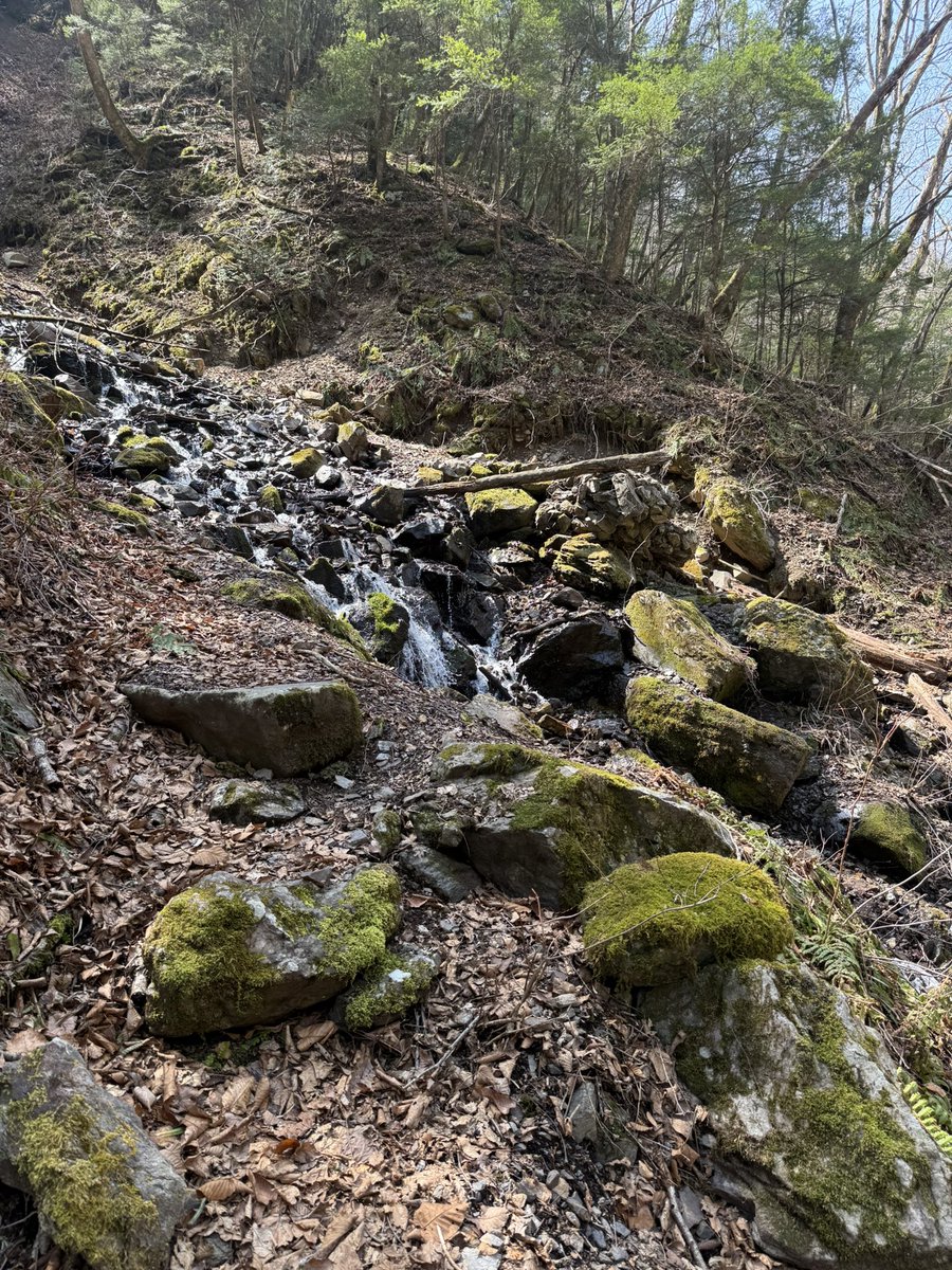 KT/けーてぃー tweet media