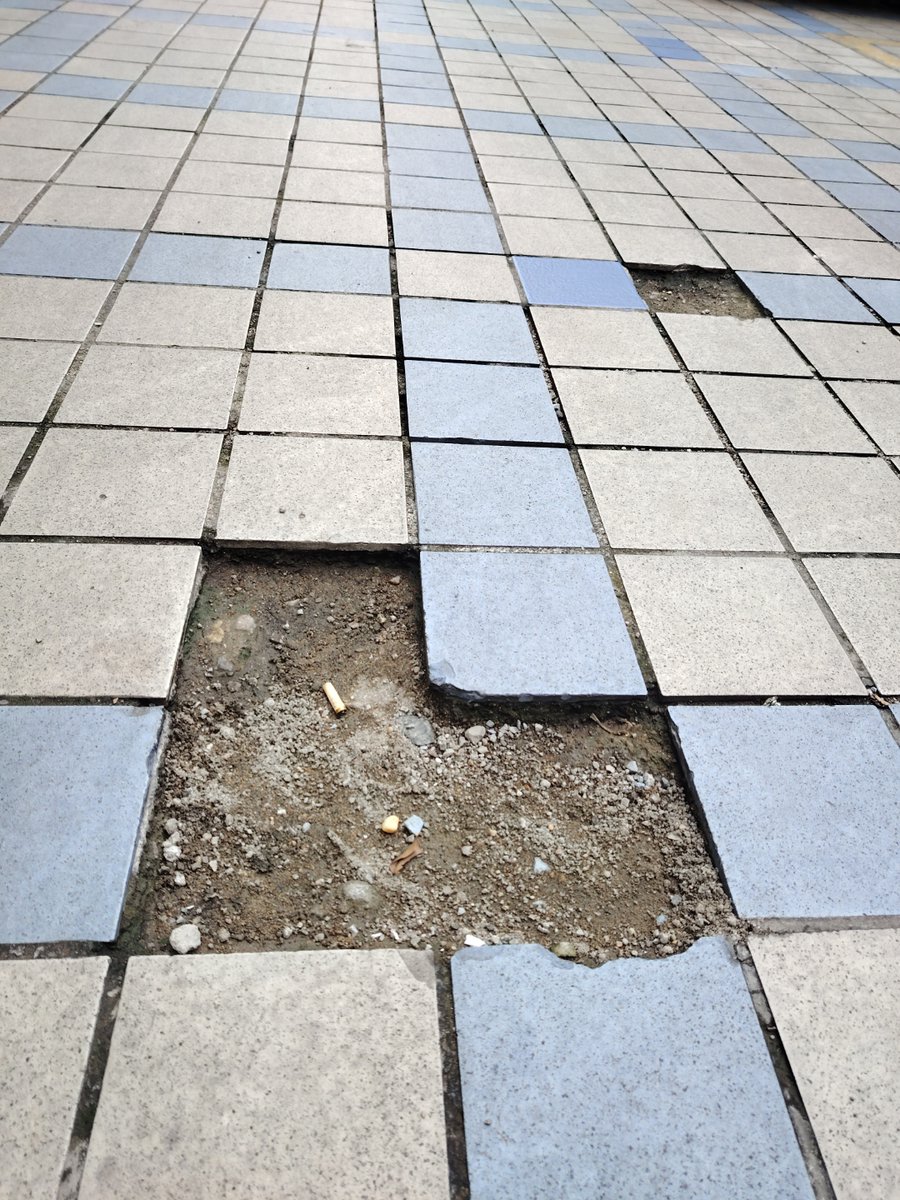 roj_rohat tweet media