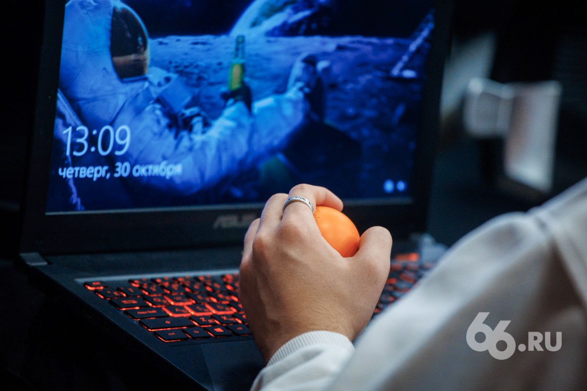 Новости от 66.RU tweet media