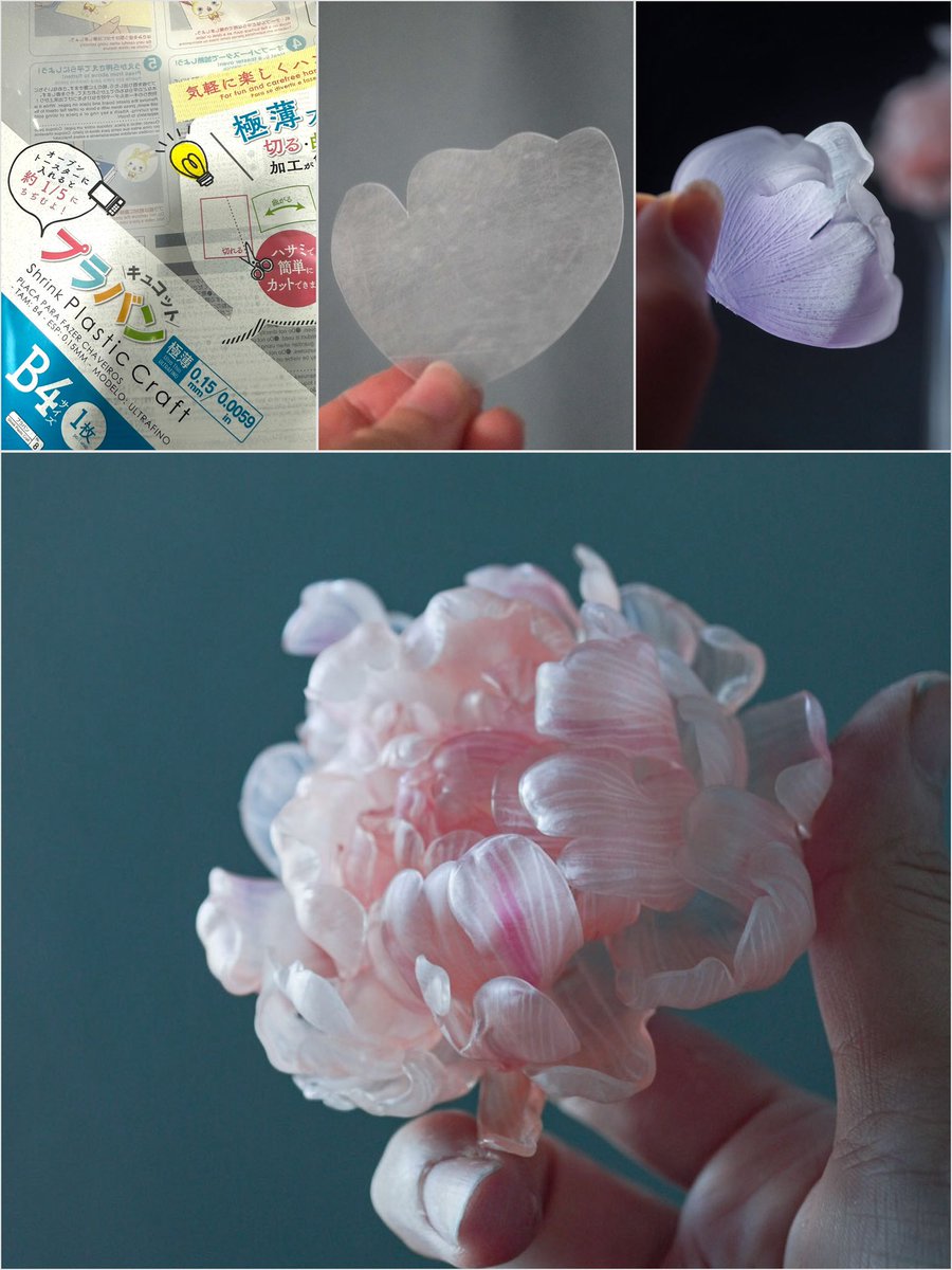 ひねこ🐈 tweet media