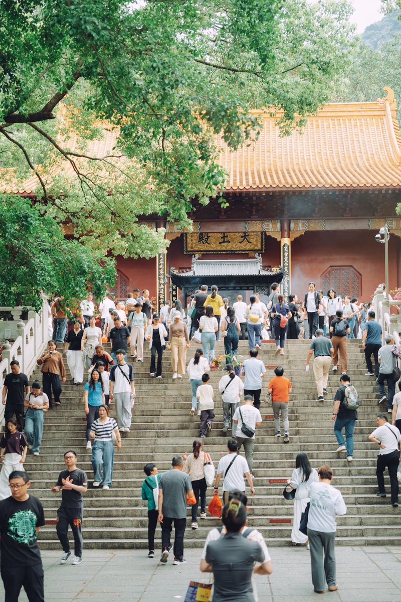 石井朋彦 Tomohiko Ishii tweet media