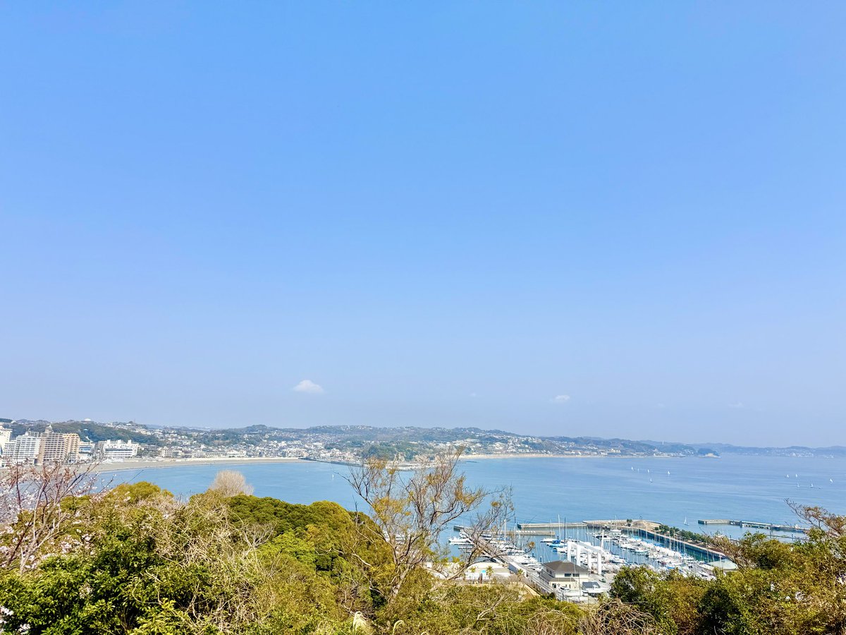 𝕥𝕠𝕞𝕠໒꒱·̩͙. tweet media